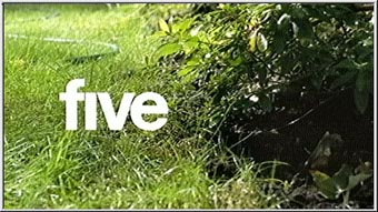 Well at least you got rid of that horrid transparent logo in the top left hand corner of our screen...